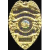 TORRANCE, CA POLICE DEPT BADGE PIN
